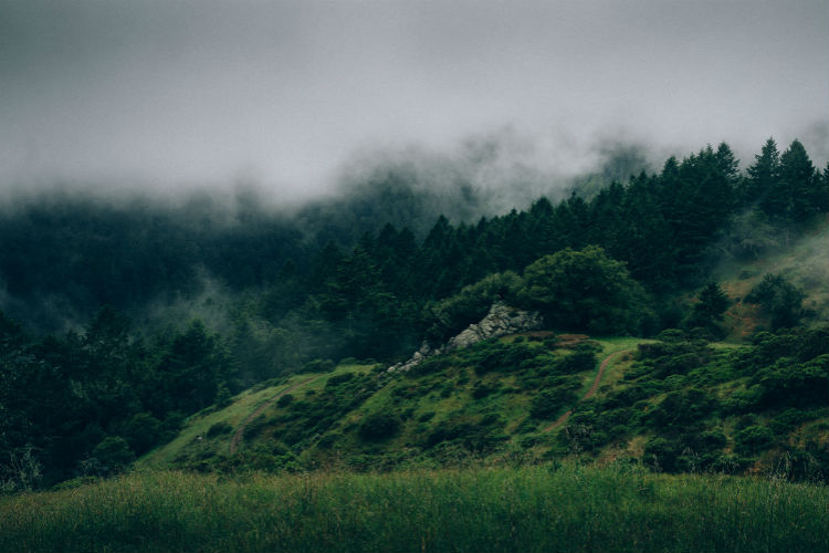 免费用虚拟号码发电话